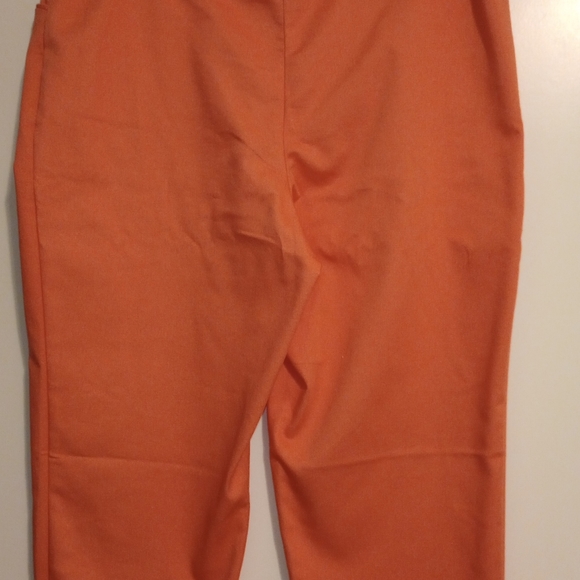 Capris - Picture 2 of 3